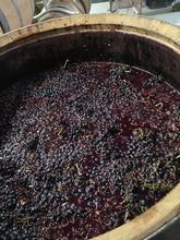 Charger l'image dans la galerie, Evidence 2022 Syrah - AOC Ventoux Rouge HVE