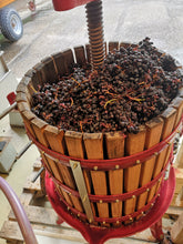 Charger l'image dans la galerie, Evidence 2022 Syrah - AOC Ventoux Rouge HVE