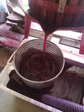 Charger l'image dans la galerie, Evidence 2022 Syrah - AOC Ventoux Rouge HVE