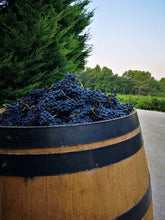 Charger l'image dans la galerie, Evidence 2022 Syrah - AOC Ventoux Rouge HVE