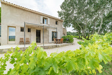 Charger l'image dans la galerie, Gîte au Cœur des Vignes